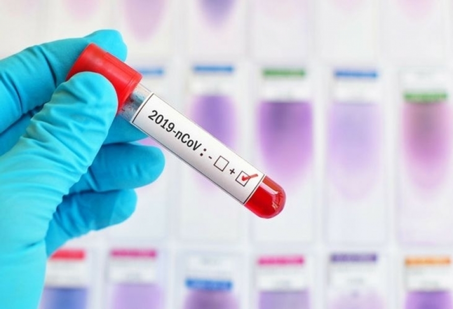 WHO calls for immediate action to halt spread of COVID-19 in Europe