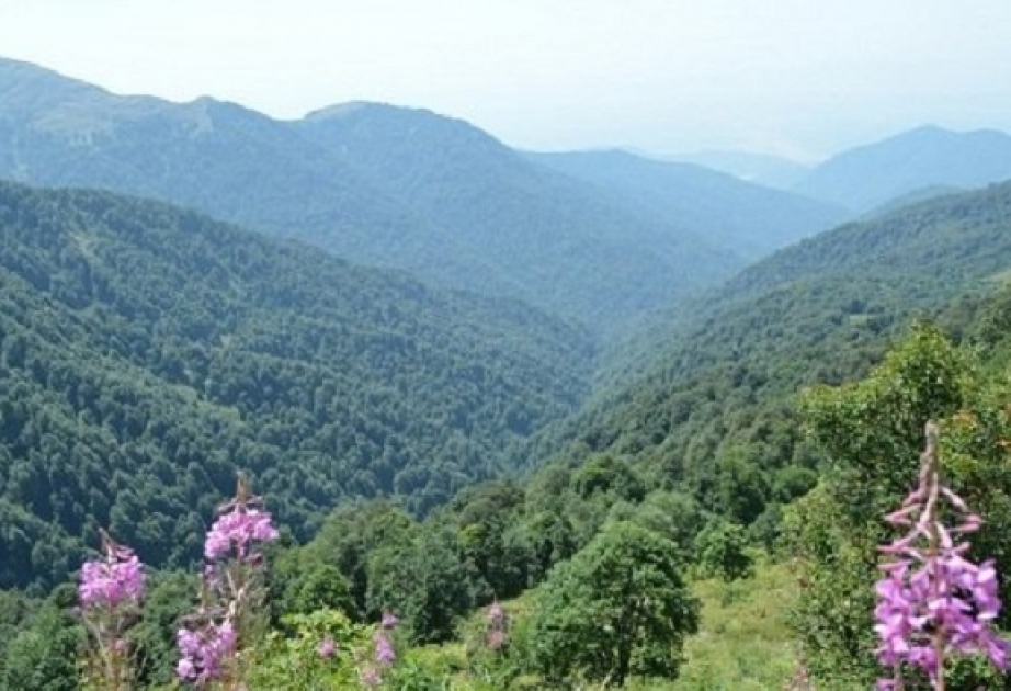 Şuşanın flora və faunası