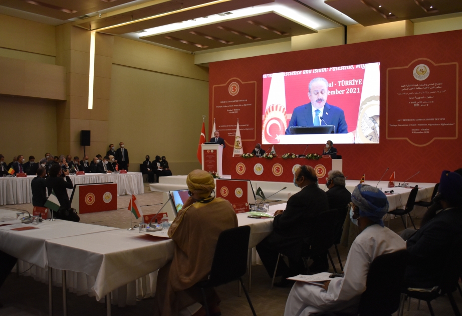 Milli Məclisin nümayəndə heyəti İƏT Parlament İttifaqının XVI Konfransında iştirak edir VİDEO