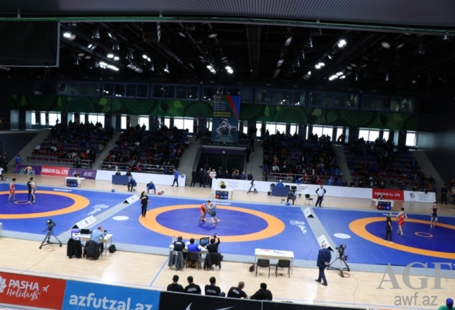 На чемпионате страны подведены итоги соревнований по греко-римской борьбе