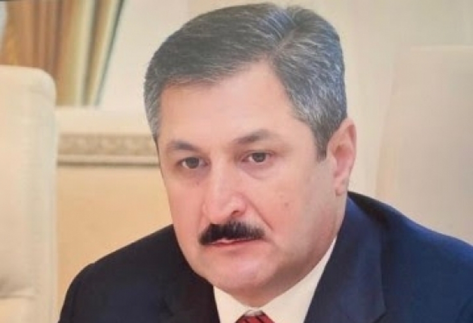 Malik Həsənov: Azərbaycan möhkəm təməl üzərində ən yüksək zirvələri fəth edəcək
