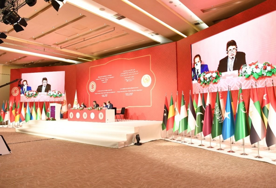 Azərbaycan parlament nümayəndə heyətinin üzvləri İƏT Pİ-nin iclaslarında iştirak ediblər