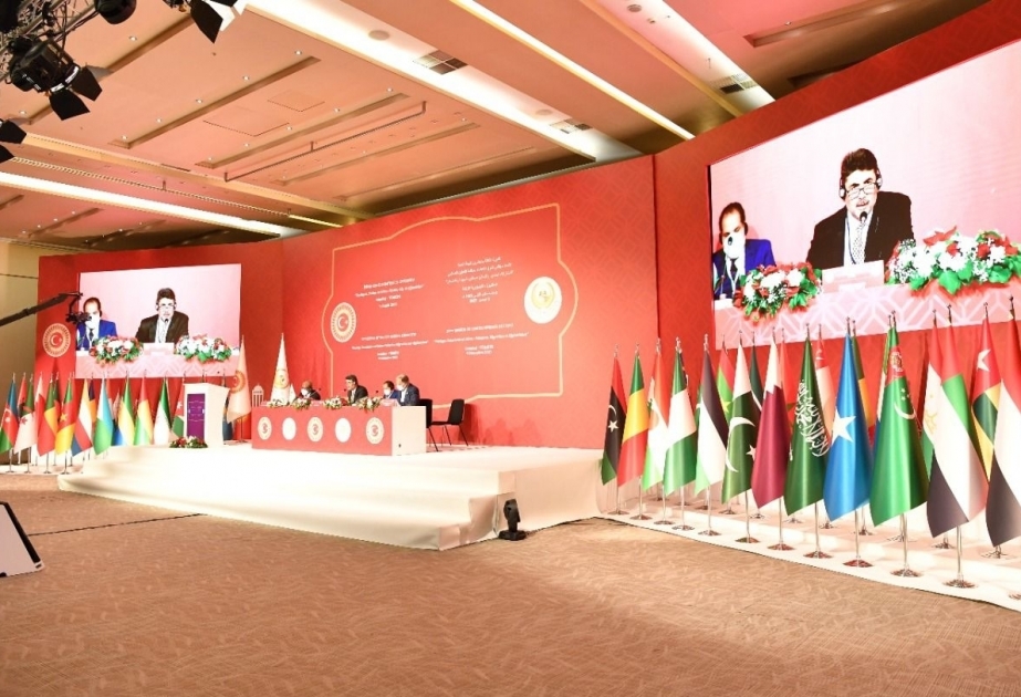 Azerbaijani parliamentary delegation attends meetings of OIC Parliamentary Union