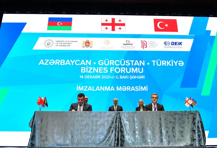 Mikayıl Cabbarov: İmzalanmış sənədlər qarşılıqlı investisiya fəaliyyətinin dərinləşməsinə zəmin yaradır