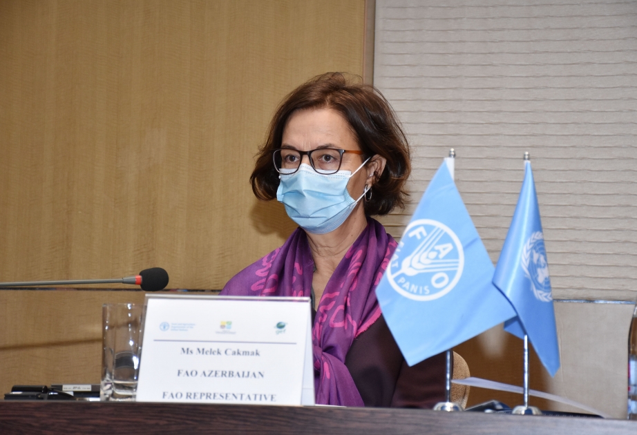 Mələk Çakmak: Bəsitçay Dövlət Təbiət Qoruğunda yeni idarəetmə sistemi qurula bilər