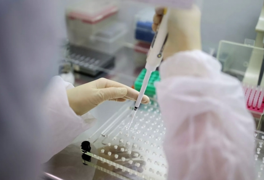 世卫：已有77个国家和地区报告奥密克戎毒株感染病例