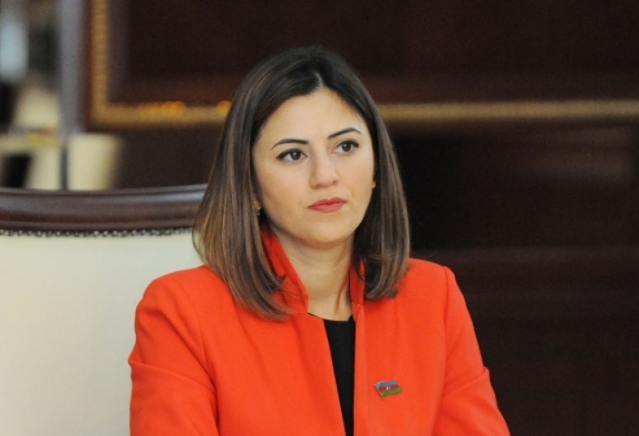 Sevinc Fətəliyeva: Erməni tərəfinin Zəngəzur dəhlizinin açılmasına razılıq verməkdən başqa çıxış yolu yoxdur