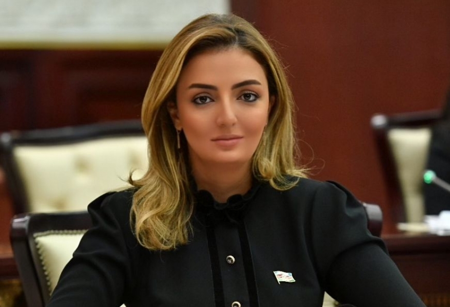 Könül Nurullayeva: Brüssel görüşündə Azərbaycanın haqlı mövqeyi təsbit olundu