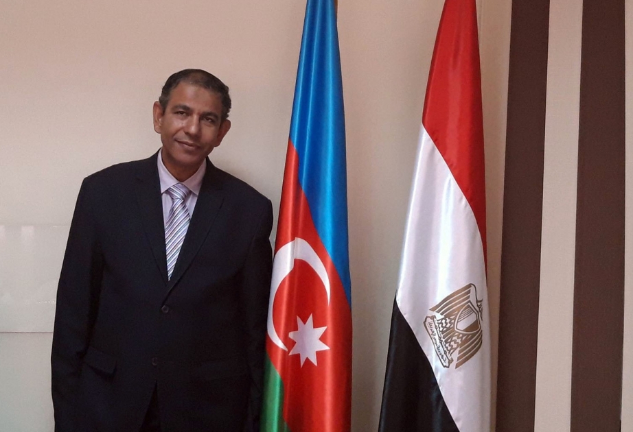Misirli ekspert: Azərbaycan Soçi və Brüssel görüşlərində sülh və regional əməkdaşlığın əhəmiyyətini bir daha vurğuladı