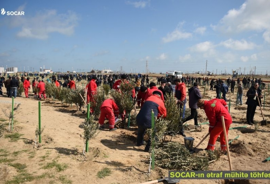 SOCAR: Son 15 ildə 2436 hektar mədən ərazisi təmizlənərək bərpa edilib