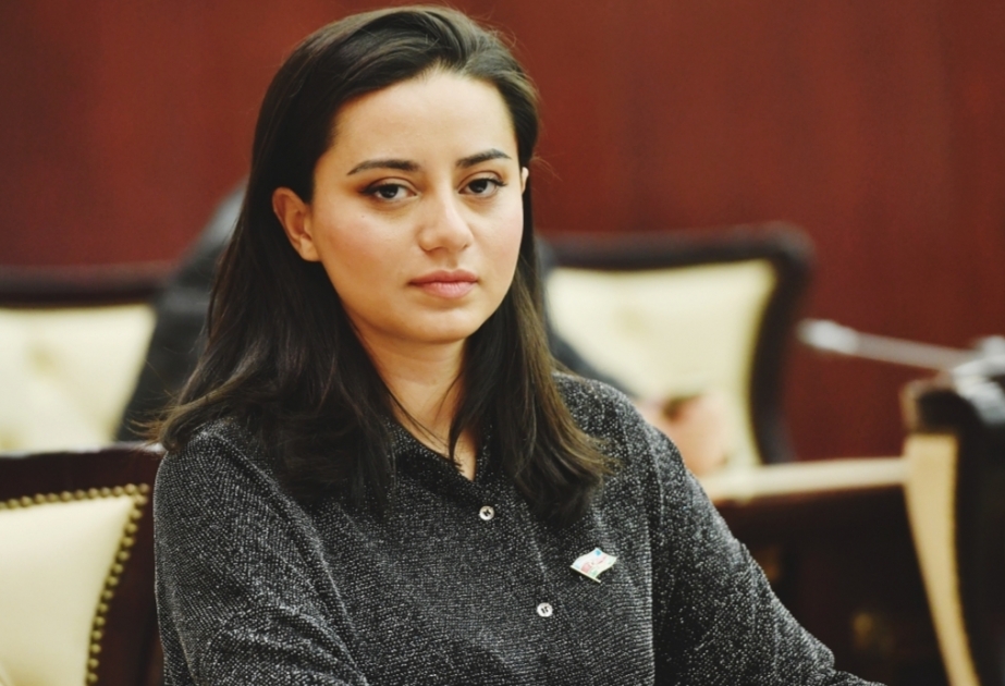 Deputat: Alyansa inteqrasiya Azərbaycanın xarici siyasətində əsas istiqamətlərdən biridir