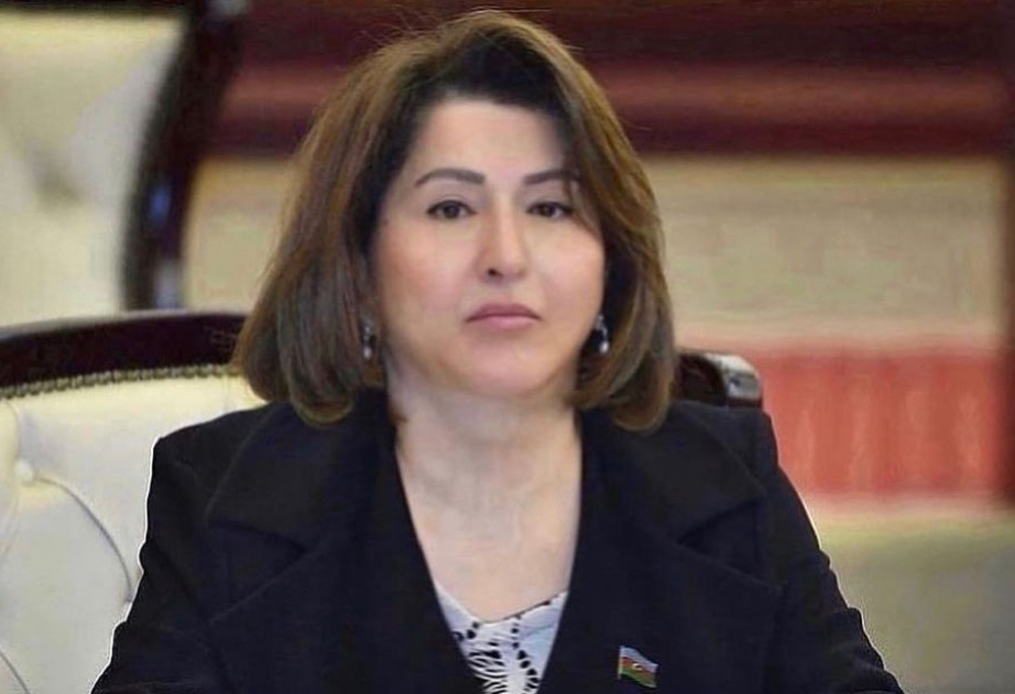 Tamam Cəfərova: Brüssel görüşü milli təhlükəsizlik siyasəti müstəvisində ölkəmizin növbəti diplomatik qələbəsidir
