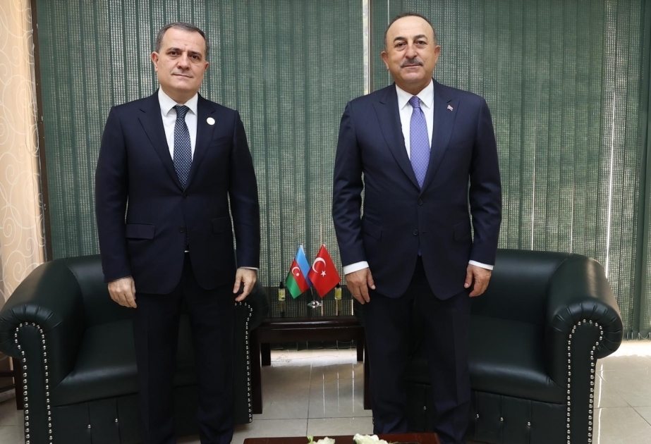 Azerbaijani FM meets with his Turkish counterpart in Islamabad