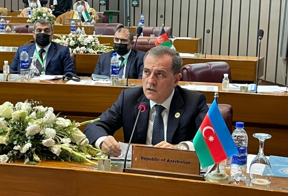 Azerbaijani FM addresses extraordinary session of OIC Council of Foreign Ministers