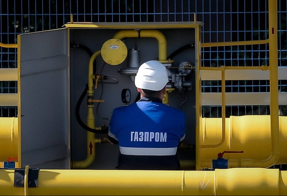 Обсуждены перспективы поставок российского газа в Турцию