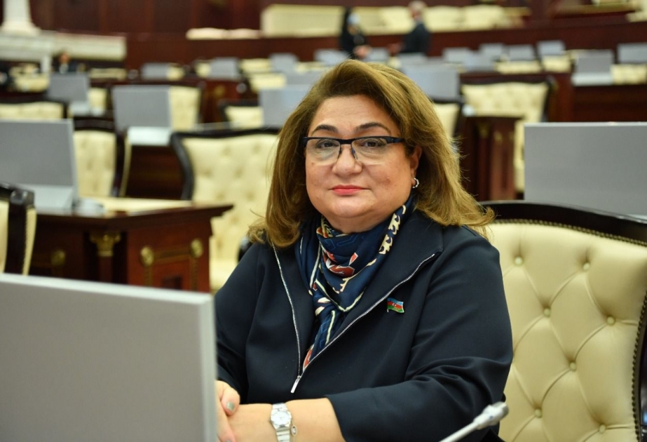 Hicran Hüseynova: Əhalinin sosial müdafiəsi dövlətin diqqət mərkəzində olan mühüm məsələdir