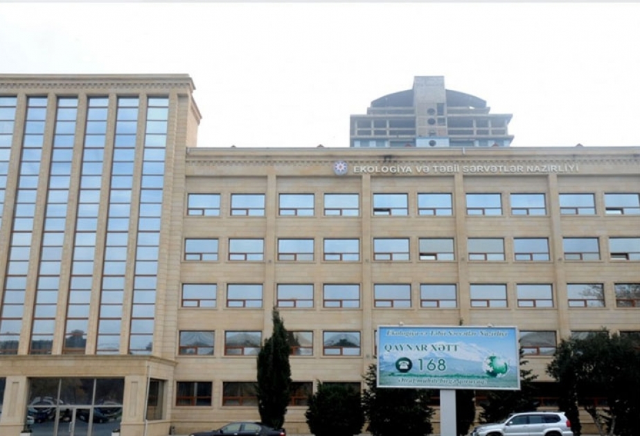 Xaçmazda ağacları kəsən şəxs cəzalandırılıb
