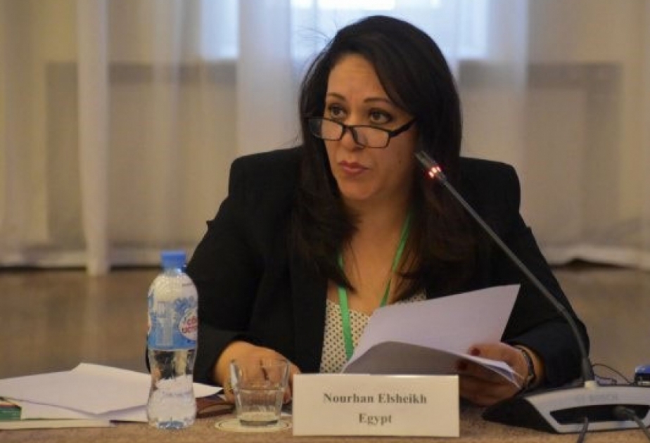 Misirli professor: Prezident İlham Əliyev müharibə və sülh dövrünün qəhrəmanıdır