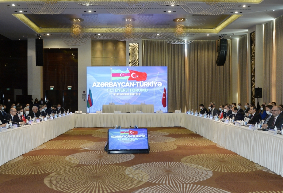 Baku hosts 1st Azerbaijan-Turkey Energy Forum VIDEO
