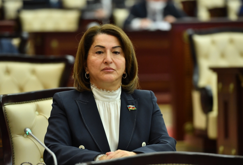 Deputat: İnsan amili, vətəndaşların sosial rifahının yüksəldilməsi dövlətin sosial siyasətinin prioritetlərindəndir
