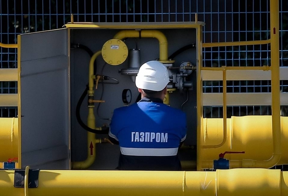 讨论俄罗斯向土耳其供应天然气的前景