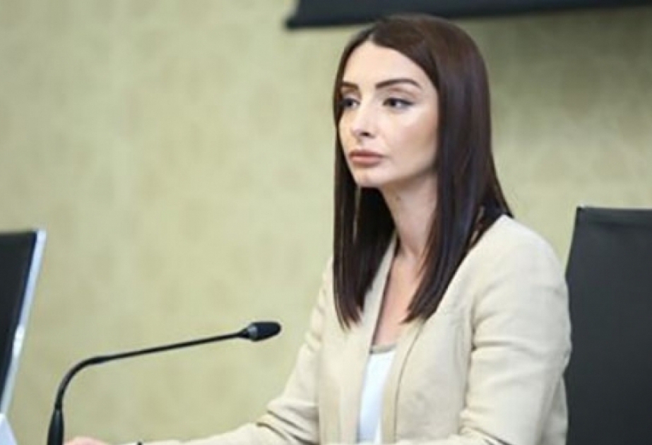 Лейла Абуллаева: Перед компанией Google поднят вопрос о том, что названия на территории Карабахского региона указаны их искаженные названия на армянском языке