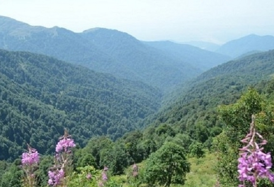 Flora y fauna de la capital cultural de Azerbaiyán,Shusha