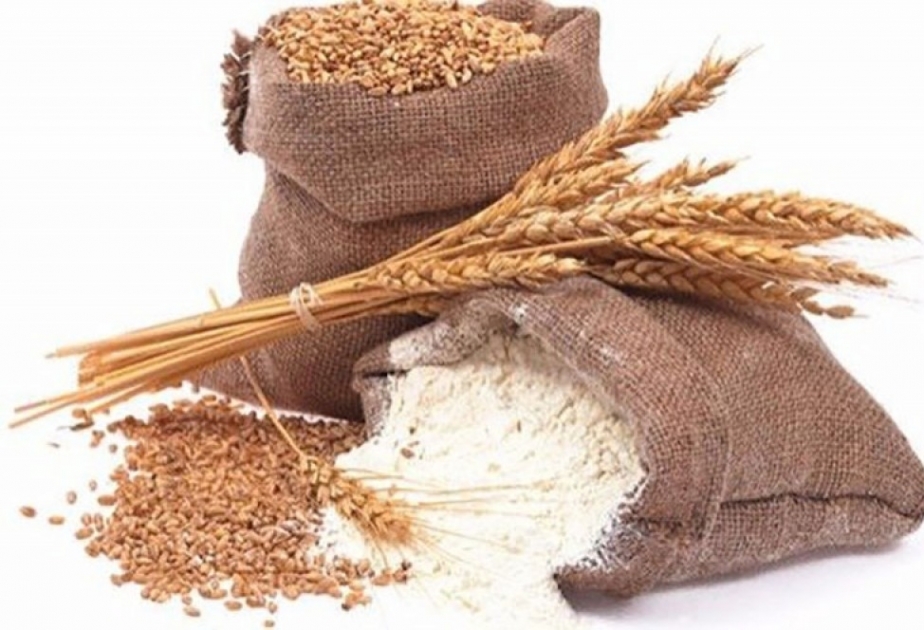 Buğda idxalı azalıb
