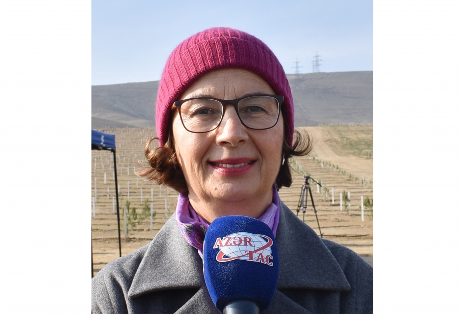 Mələk Çakmak: Ekoloji və Təbii Sərvətlər Nazirliyi meşələrin bərpası və artırılması istiqamətində böyük irəliləyiş əldə edib