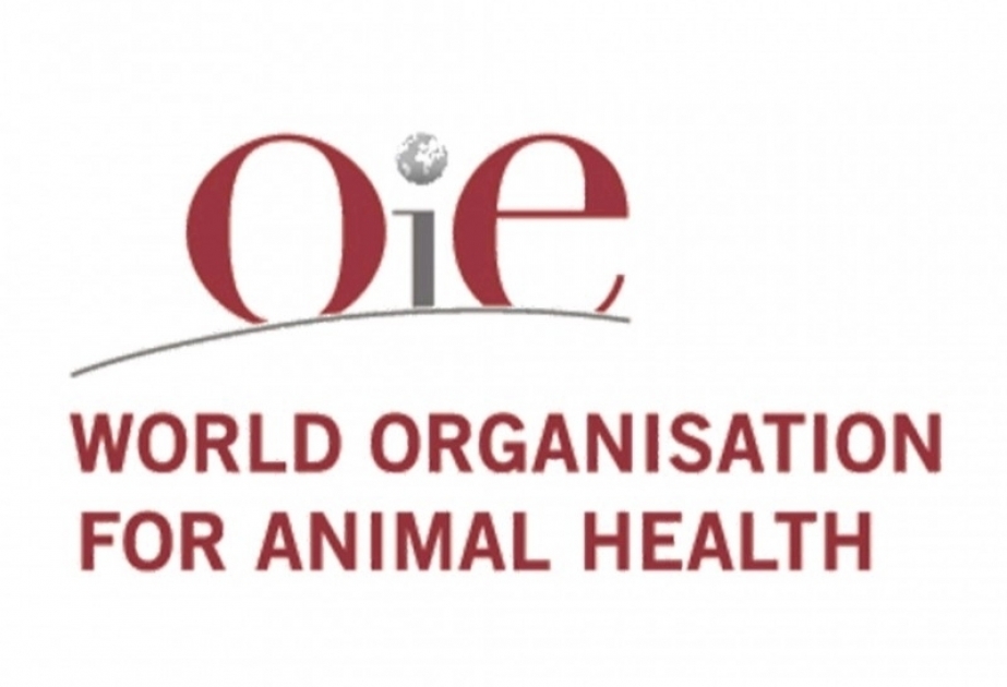 Azerbaiyán restringe el tránsito de aves vivas procedentes de 6 países