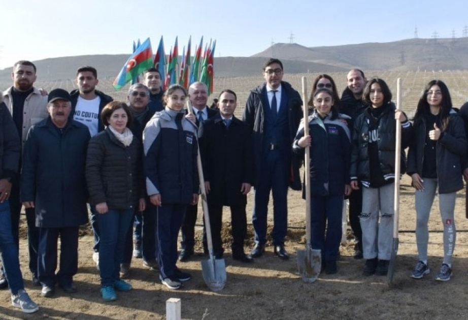 Bədii gimnastlarımız ağacəkmə aksiyasında iştirak ediblər
