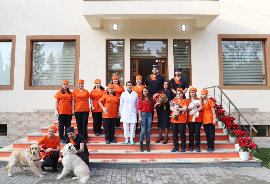 Se inaugura en Bakú la mayor y más moderna clínica veterinaria del Cáucaso Sur