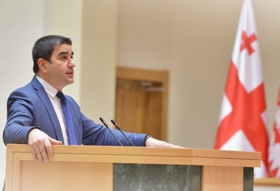 Ruling party MP Papuashvili elected Georgian Parliament Speaker