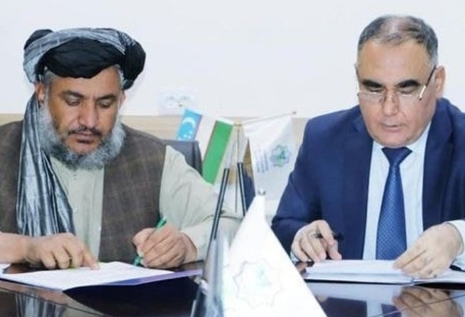 أفغانستان تشتري الكهرباء من أوزبكستان بقيمة 100 مليون دولار