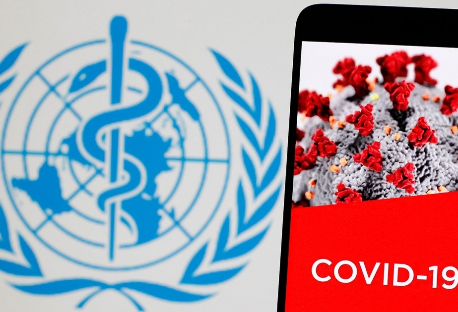 WHO reports record-breaking number of new coronavirus cases - over 2.6 mln