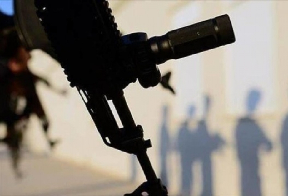 Nigerdə silahlılar tərəfindən oğurlanmış 30 məktəbli əsirlikdən azad edilib