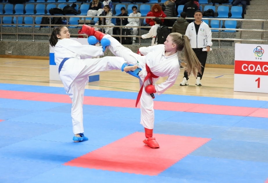 Определились победители 29-го республиканского чемпионата по карате среди взрослых