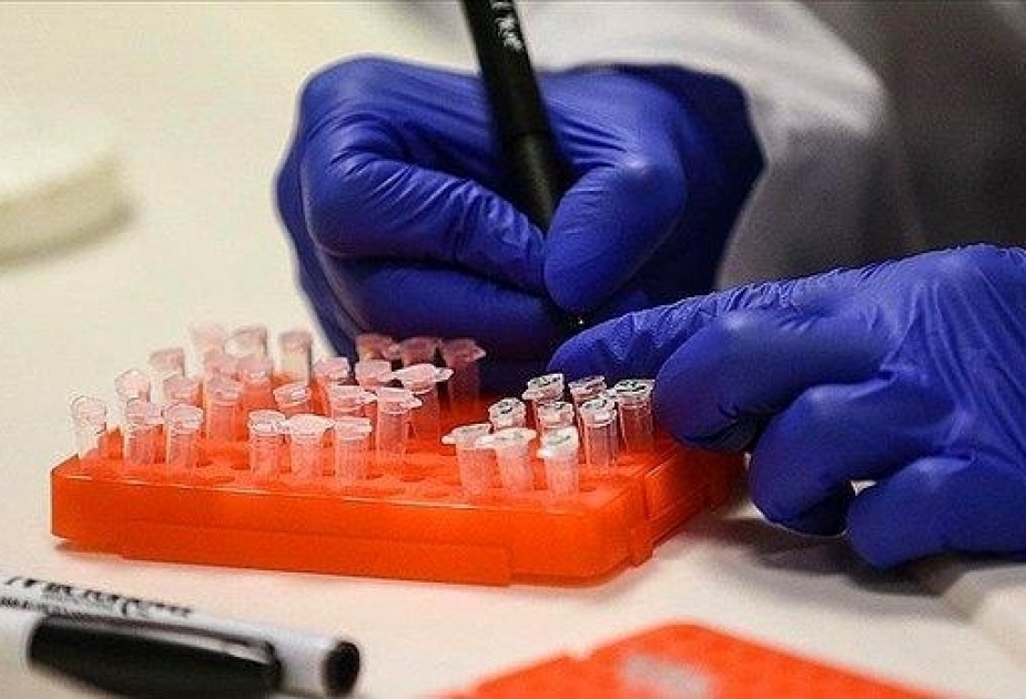 Turkish scientist developed medicine for lung cancer