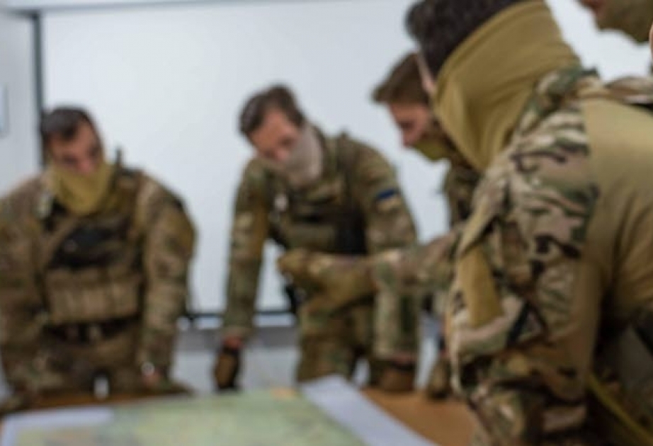 Швеция отзывает свой военный контингент из Мали