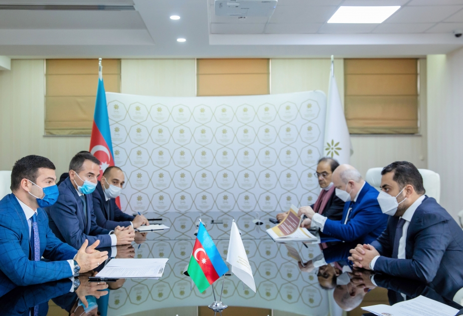 Agencia de Desarrollo de la Pequeña y Mediana Empresa de Azerbaiyán podría cooperar con la empresa catarí Baladna Food Industries