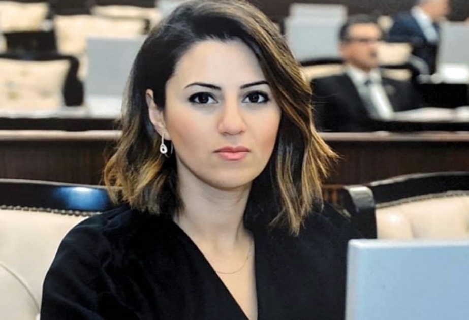 Sevinc Fətəliyeva: Ölkəmizə qanunsuz səfərlər edən istənilən ölkənin vətəndaşına qarşı bundan sonra da lazımi tədbirlər görüləcək