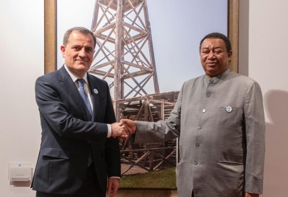 Azərbaycanla OPEC arasında əməkdaşlıq məsələləri müzakirə edilib