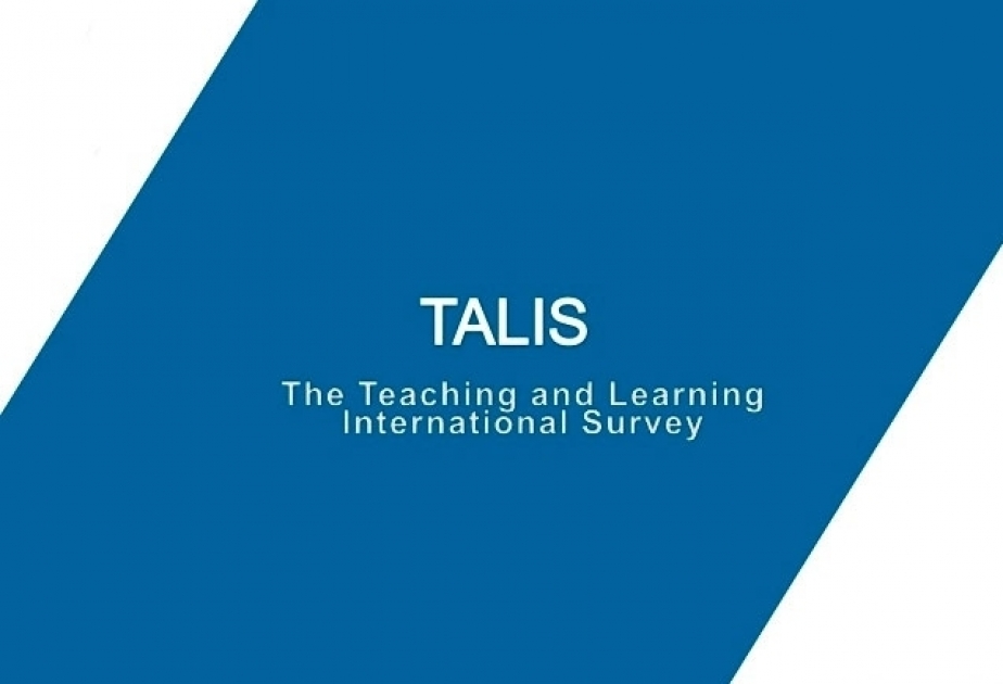 أذربيجان تشارك لأول مرة في المسح الدولي للتعليم والتعلم TALIS 2024