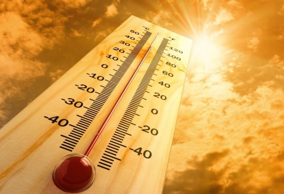В Австралии +50°C – впервые за 62 года