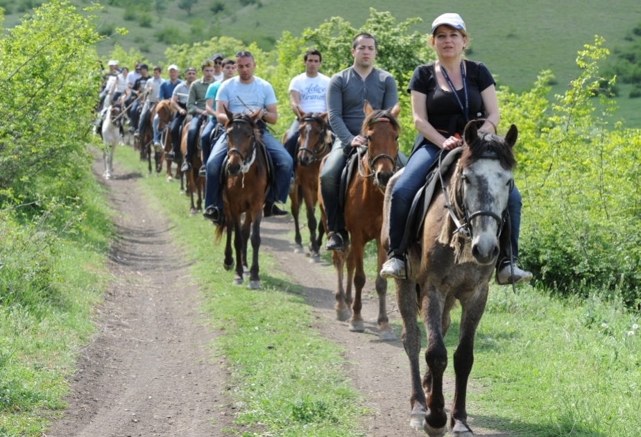 Hippotherapy - treatment with horses
