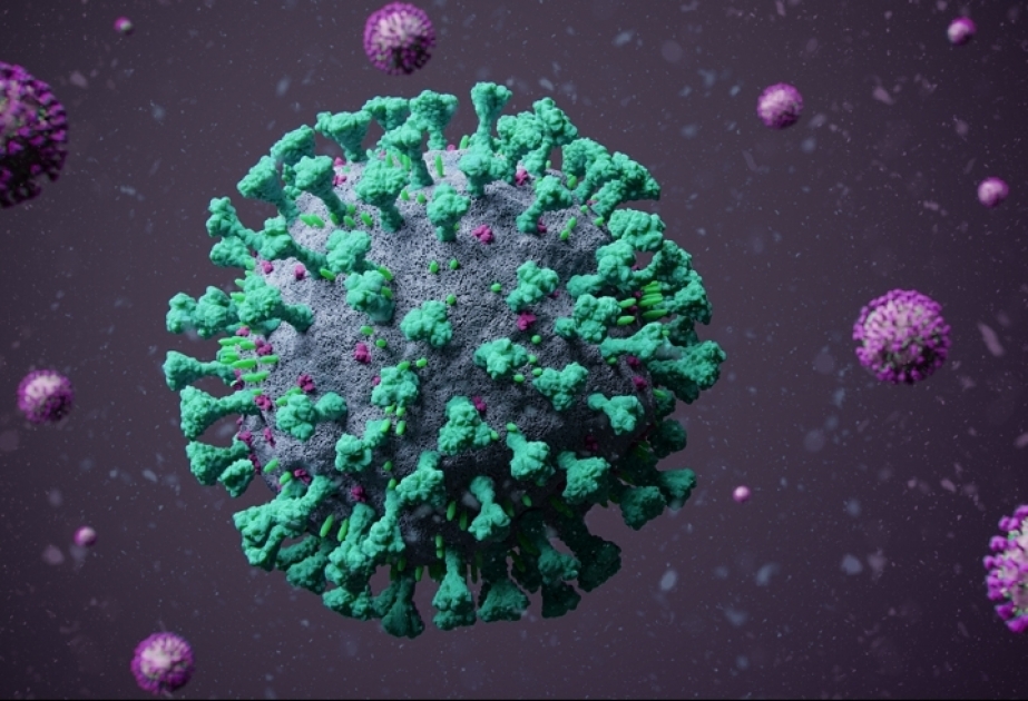 11 активных больных коронавирусом обнаружены в общественных местах