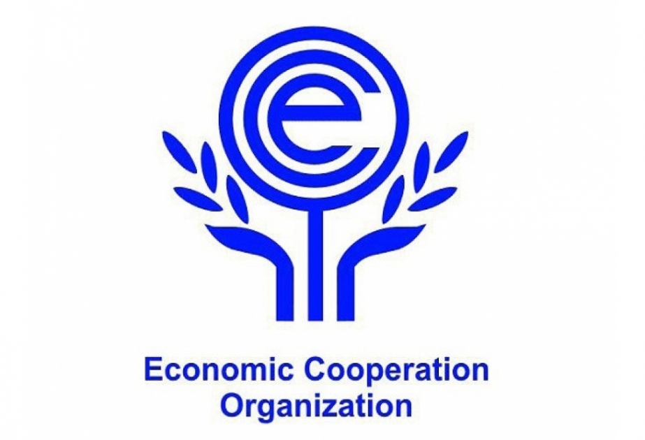 El diputado azerbaiyano asistirá a la reunión de la Asamblea Parlamentaria de la OCE