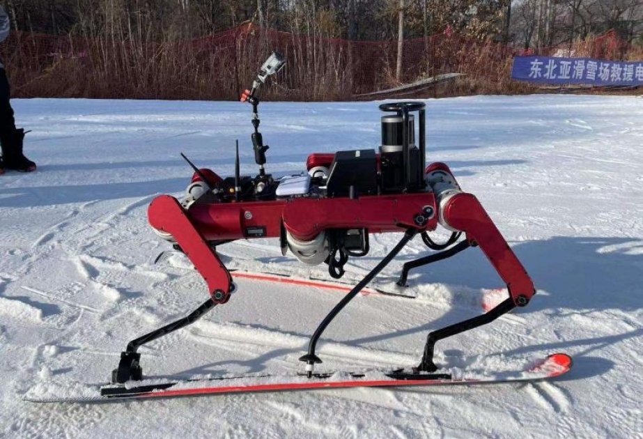 Universidad china desarrolla robot esquiador