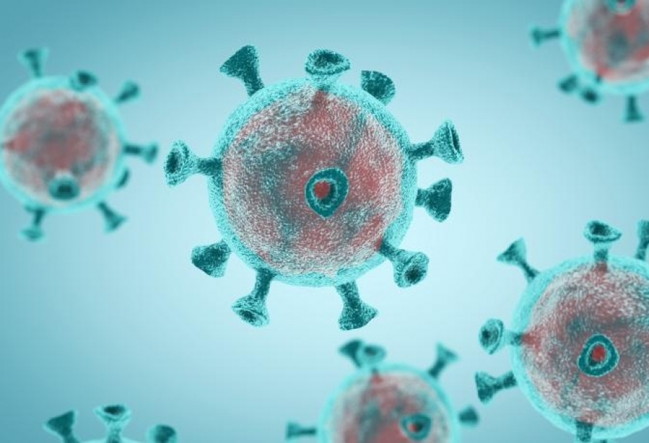 İctimai yerlərdə 12 nəfər aktiv koronavirus xəstəsi aşkarlanıb