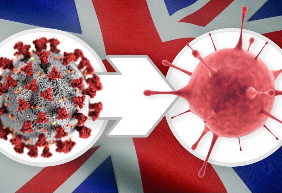 Смертность от коронавируса в Великобритании достигла пика